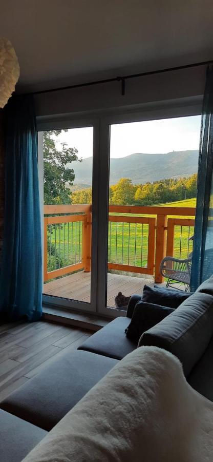 Apartament Gorski Widok Шклярська Поремба Екстер'єр фото