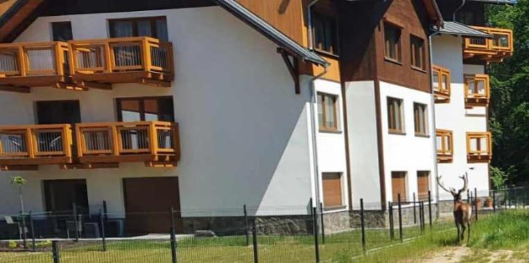Apartament Gorski Widok Шклярська Поремба Екстер'єр фото
